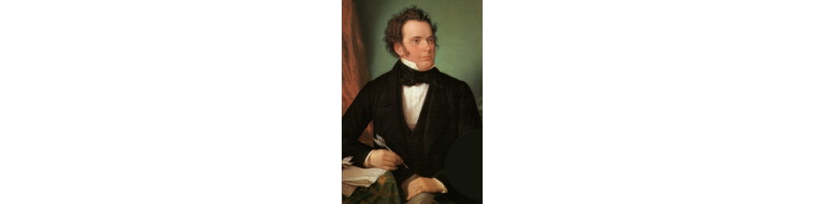 Franz Schubert by Wilhelm August Rieder, 1875